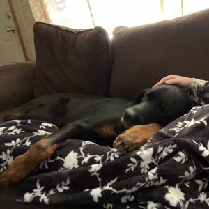 Meet your Posher, Kylee